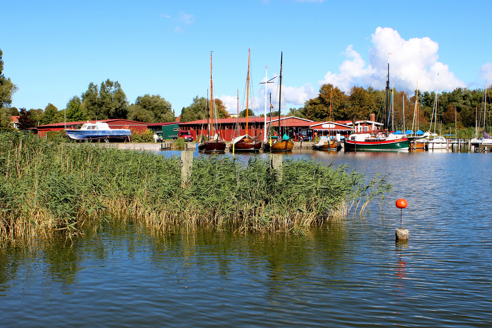 Hafen in Wustrow