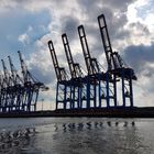 Hafen Kran Hamburg