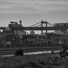 Hafen Mannheim Container