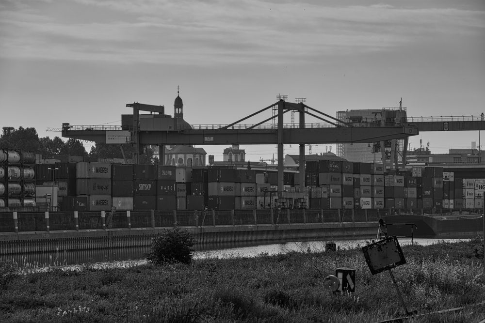 Hafen Mannheim Container