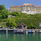 Hafen Meersburg