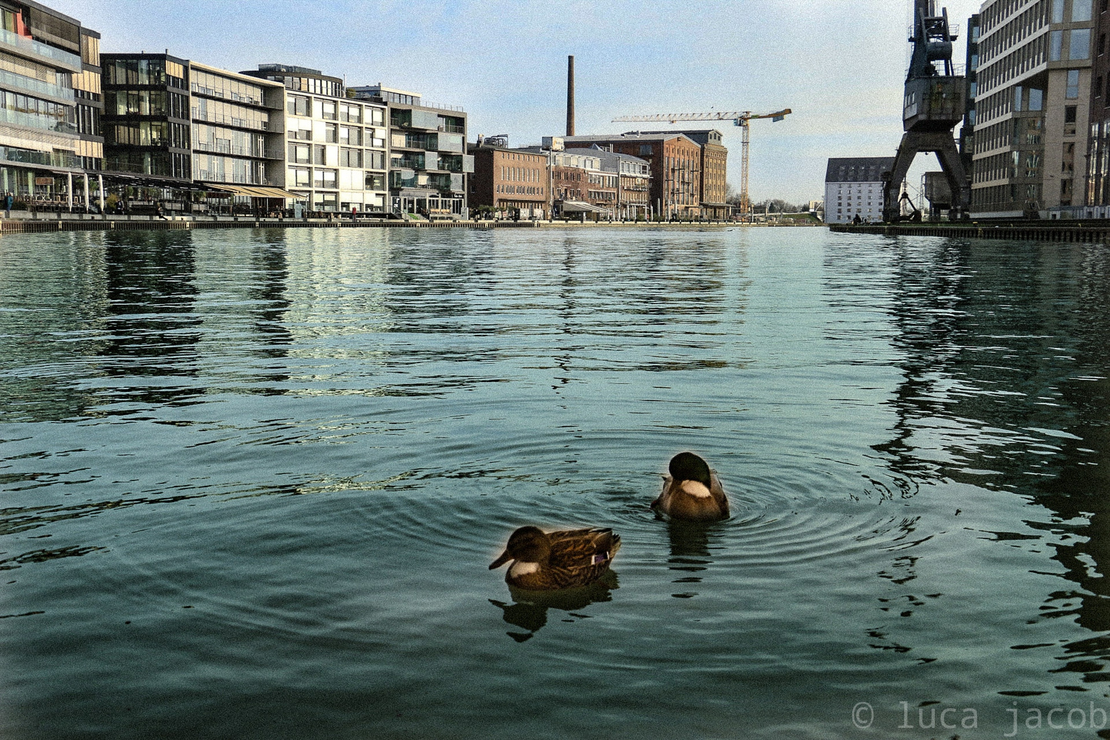 Hafen Münster