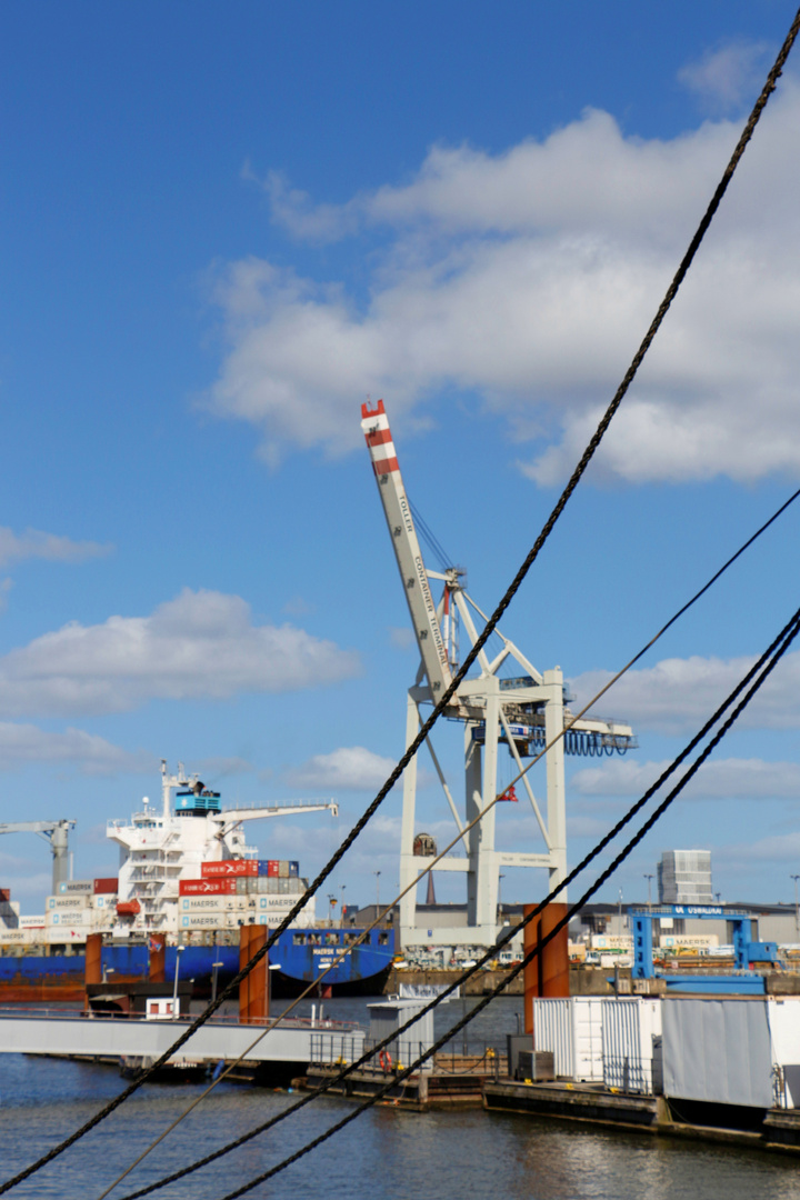 Hafen Museum Hamburg 