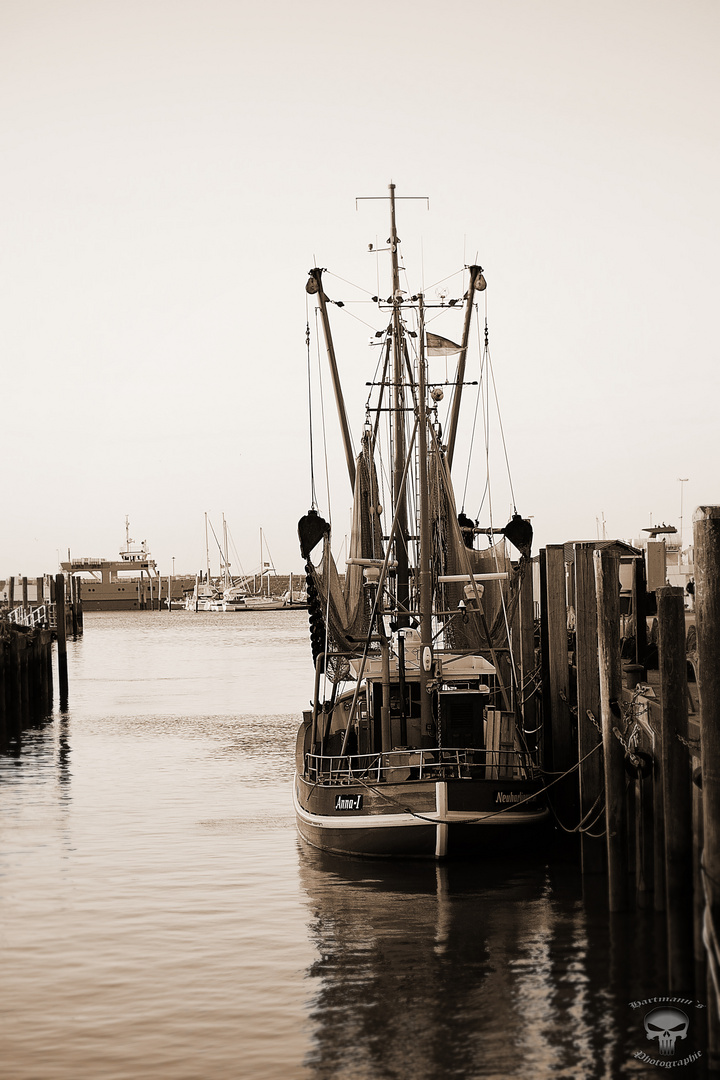 Hafen - Neuharlingersiel