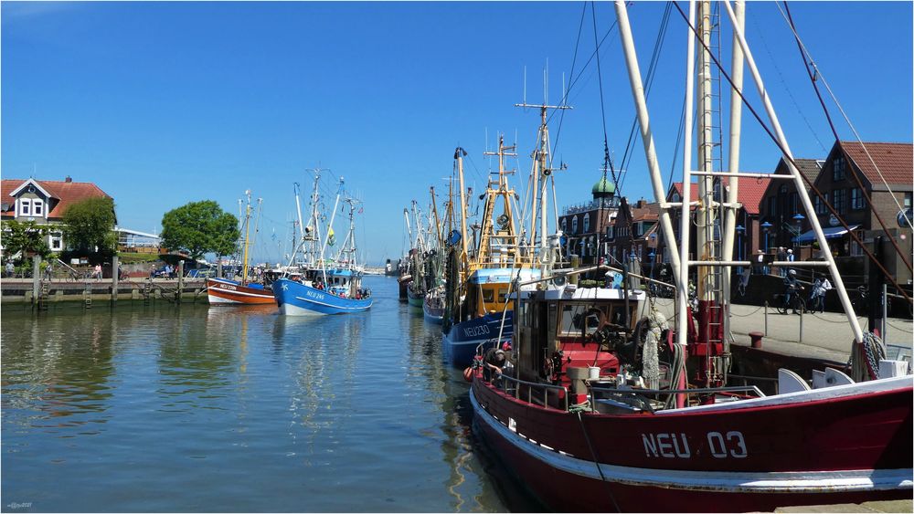 ~ Hafen Neuharlingersiel ~