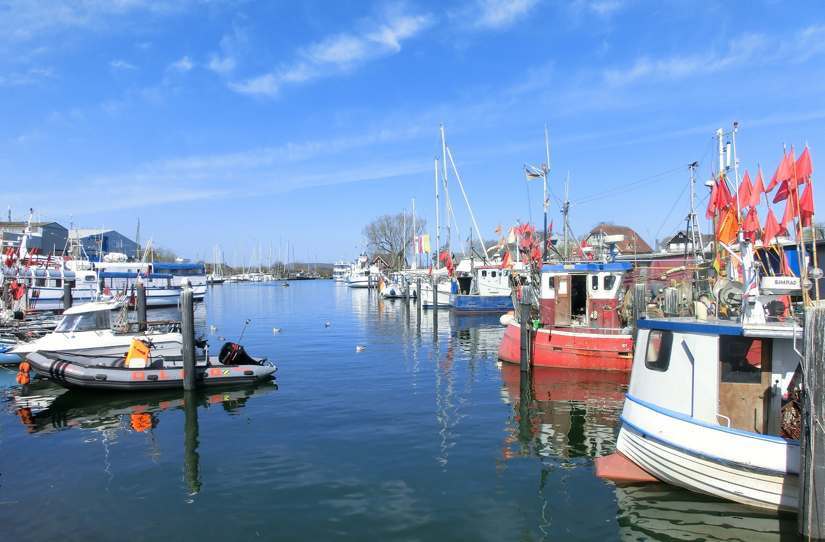 yachthafen niendorf ostsee