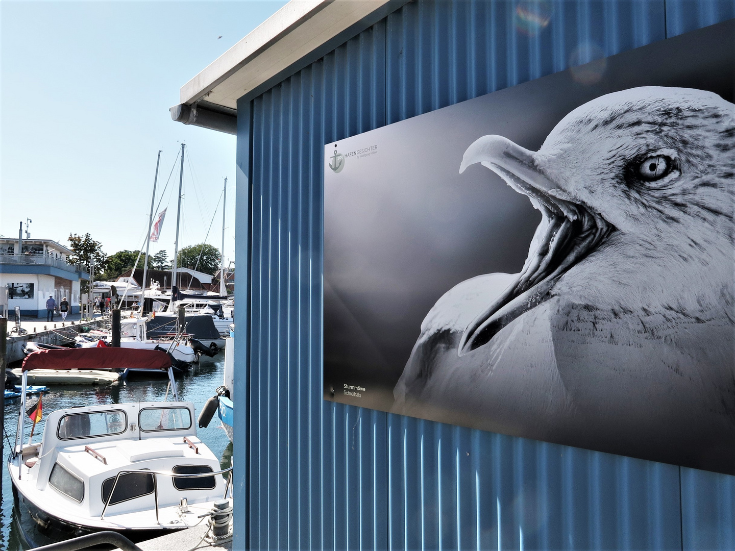 Hafen Niendorf, Ostsee