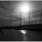 Hafen Palma de Mallorca 1