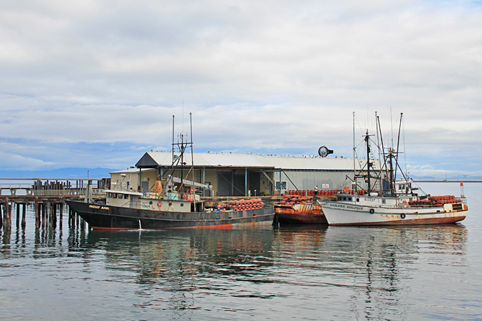 Hafen Port Angeles