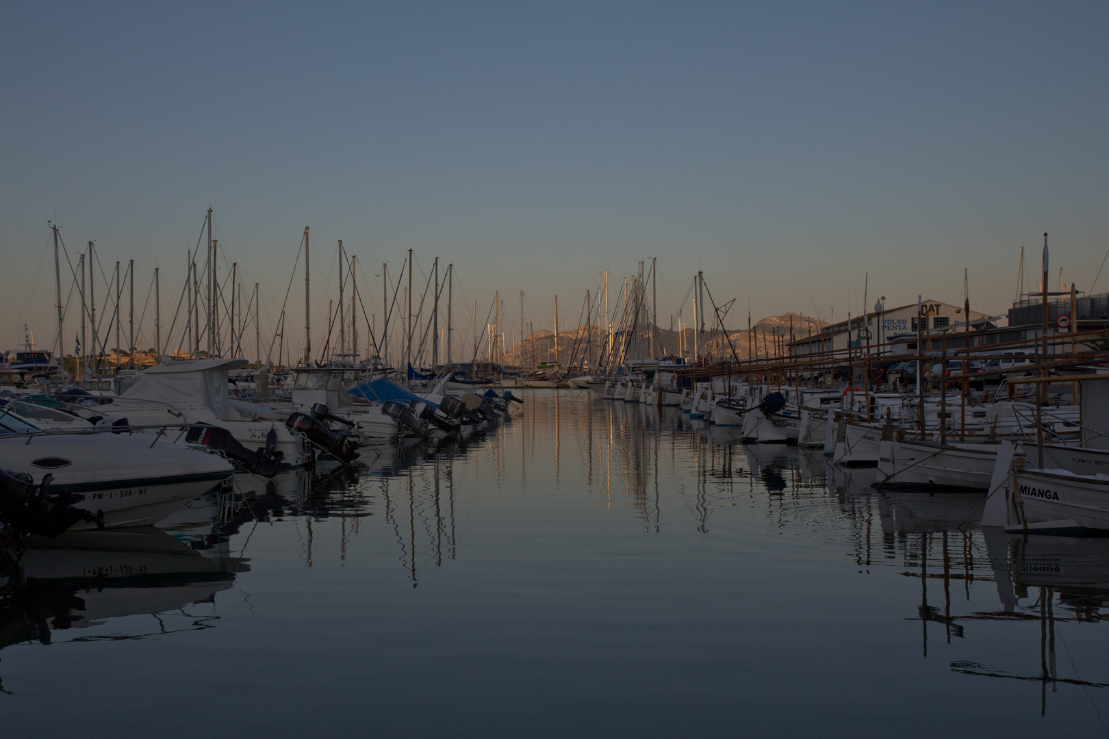 Hafen Port de Pollenca im Abendlicht