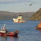 Hafen Portree