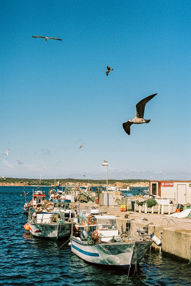 Hafen Sagres