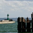 Hafen /Sassnitz 