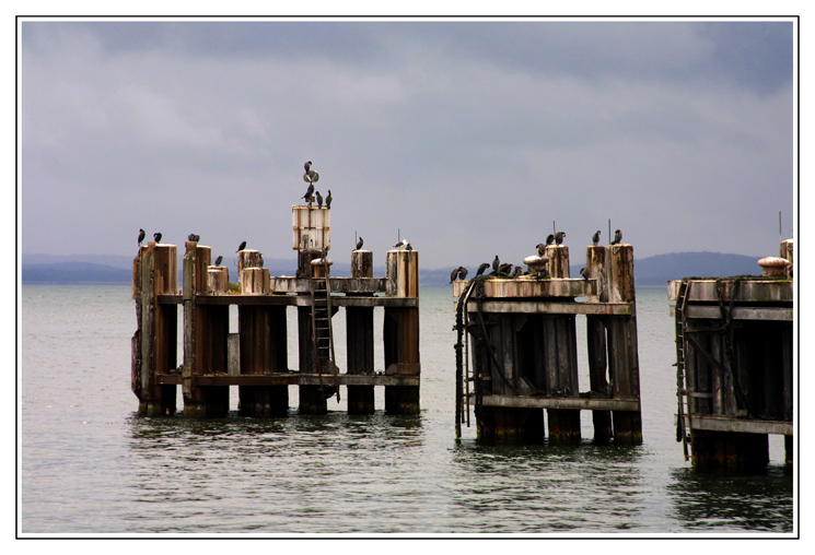 Hafen-Stimmung