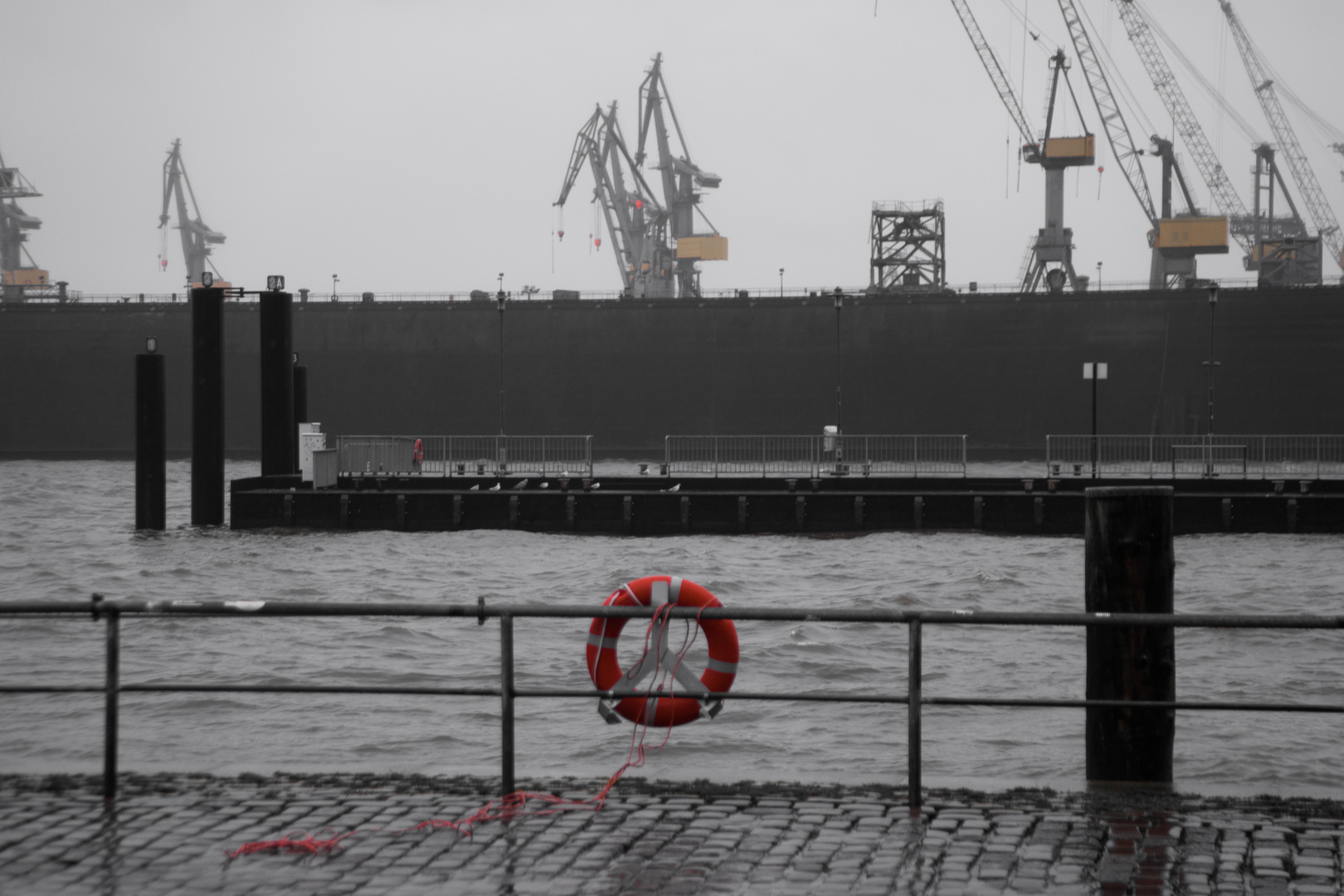 Hafen - Sturmflut Januar 2015