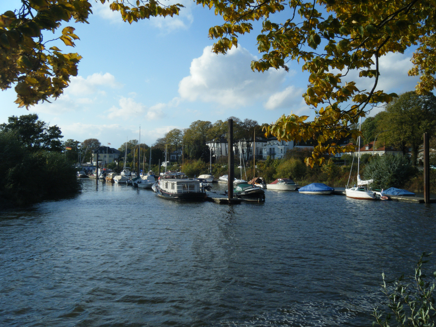 Hafen Teufelsbrück