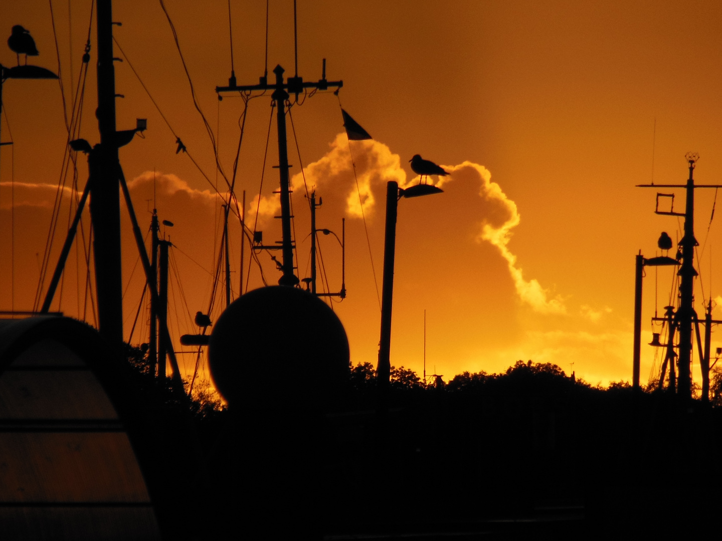 Hafen Travemünde