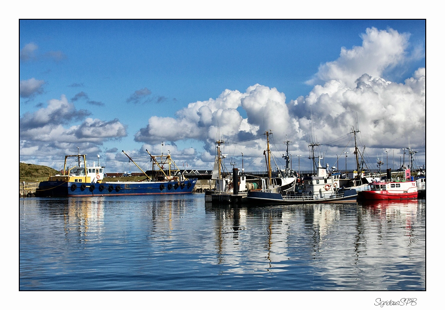 Hafen v. Hvide Sande