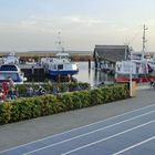 Hafen vom Seeheilbad Zingst im Herbst