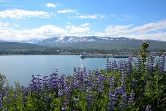 Hafen von Akureyri Island