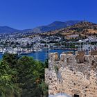 Hafen von Bodrum (2)