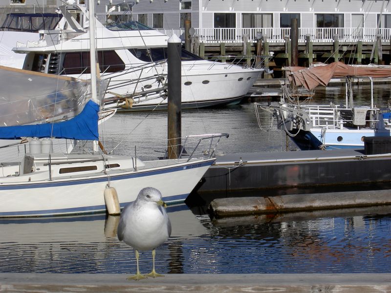 Hafen von Boston