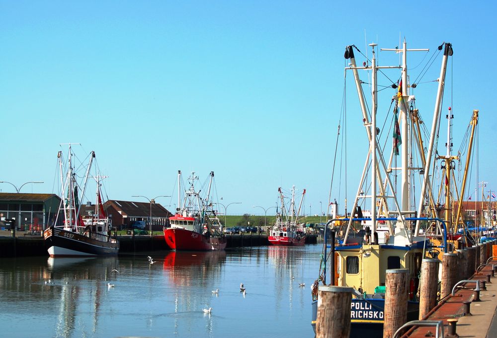 Hafen von Büsum