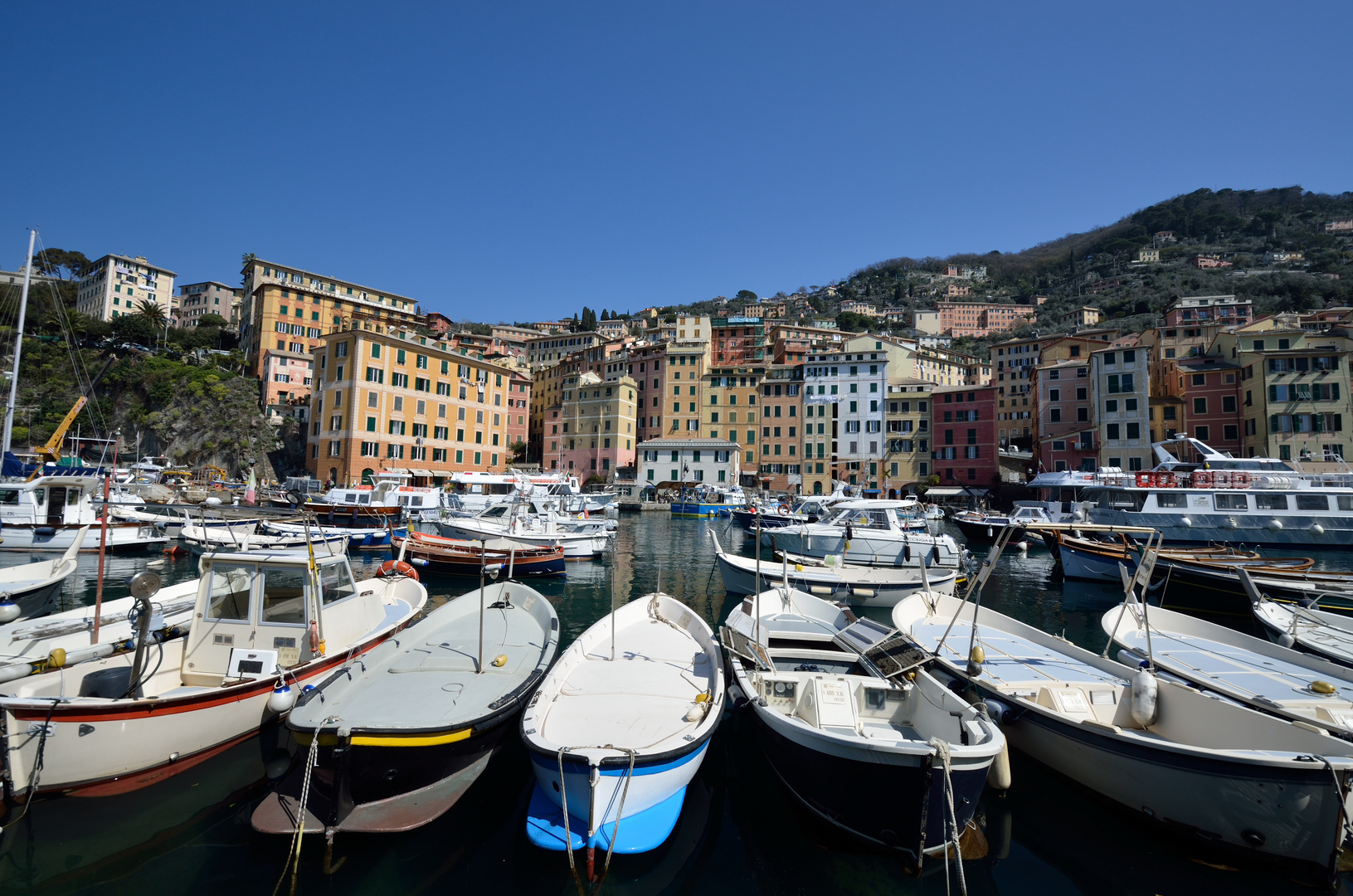 Hafen von Camogli