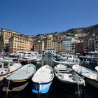 Hafen von Camogli