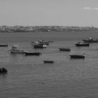 Hafen von Cascais