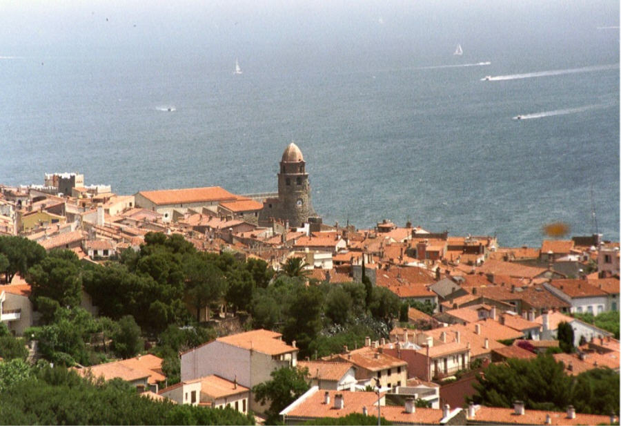 Hafen von Collioure 01