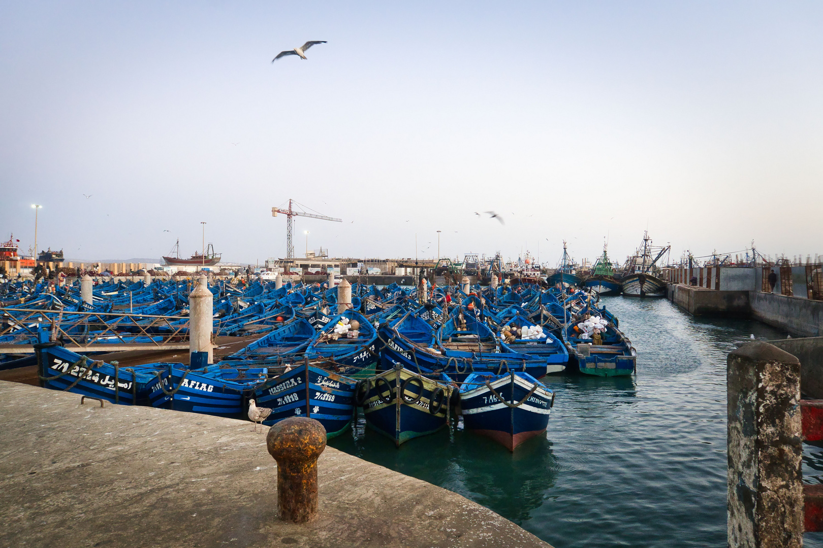 Hafen von Essaouira