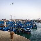 Hafen von Essaouira