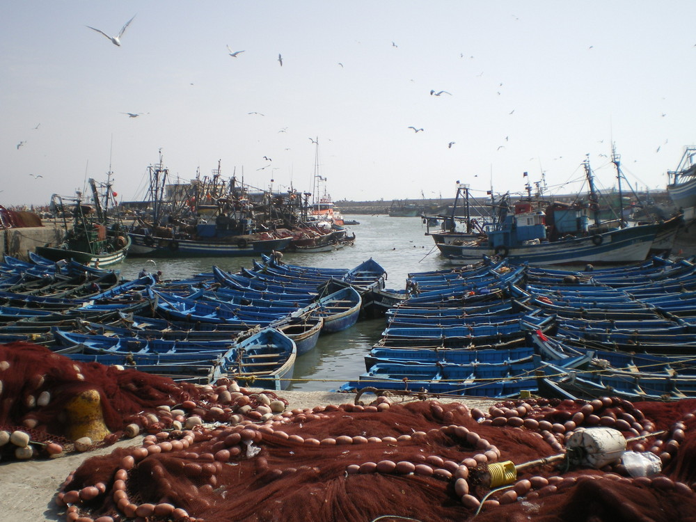 Hafen von Essaouira/Marokko