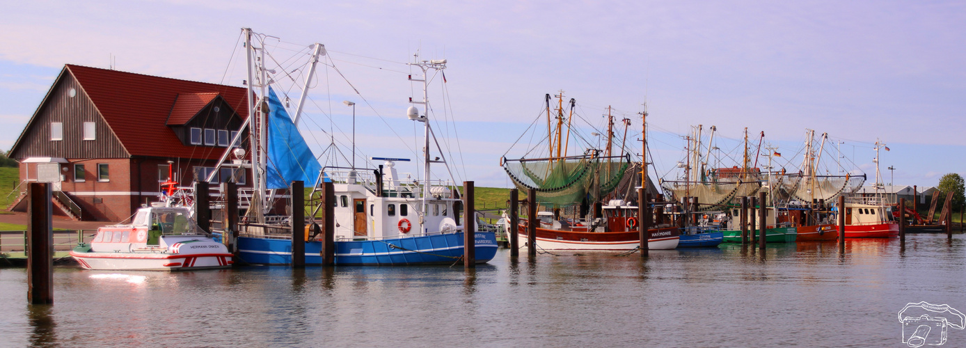 Hafen von Fedderwardersiel