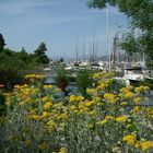 Hafen von Göcek