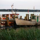 Hafen von Groß Zicker / Insel Rügen