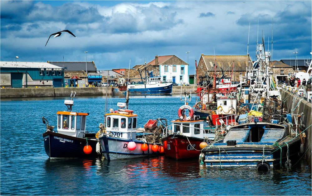 Hafen von Howth