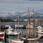 Hafen von Husavik 