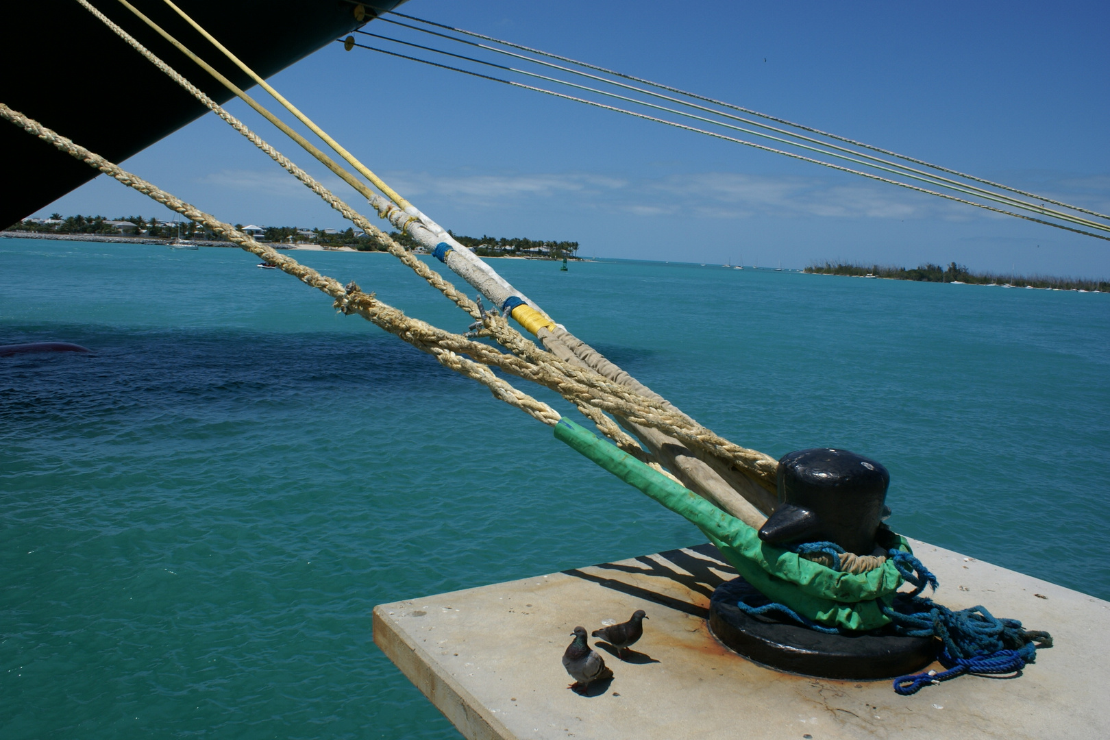 Hafen von Key West