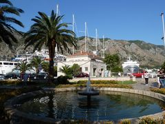 Hafen von Kotor II