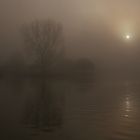 Hafen von Lüscherz im Nebel