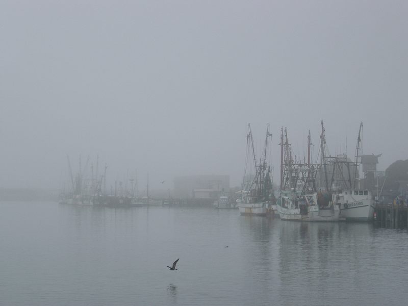 Hafen von Morro-Bay