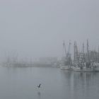 Hafen von Morro-Bay