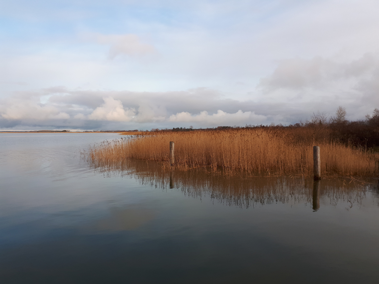 Hafen von Neuendorf am Saaler Bodden (2)