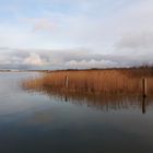 Hafen von Neuendorf am Saaler Bodden (2)