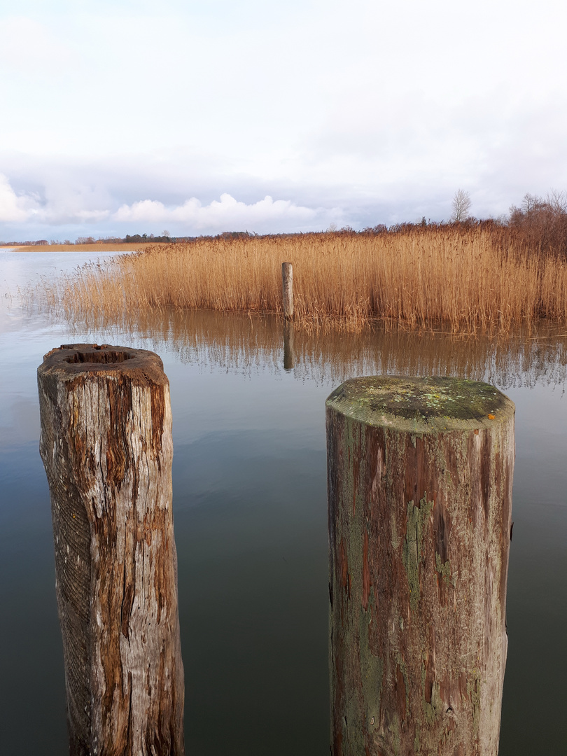 Hafen von Neuendorf am Saaler Bodden (4)