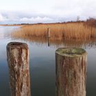 Hafen von Neuendorf am Saaler Bodden (4)