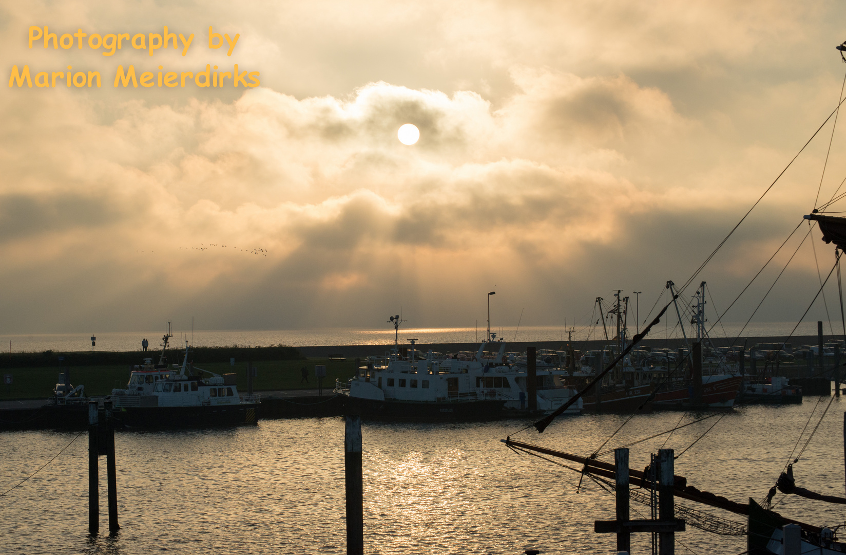 Hafen von Norden Juni 2014