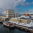 Hafen von OKSFJORD /Finnmark/NOR)